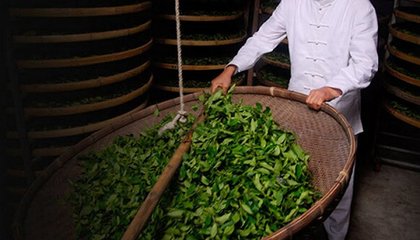 觀音韻的香是哪里來的?|界面新聞