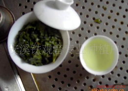 鐵觀音飲品加盟連鎖火爆招商中 全球加盟網jiameng.com