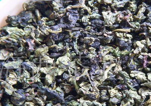 安溪鐵觀音茶葉 東方茗茶的精粹與文化傳承