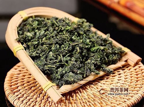 鐵觀音 春茶與秋茶的風(fēng)味對(duì)決