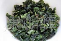 安溪鐵觀音黃金桂新茶上市，20斤起定混批供應，品味春天第一縷茶香